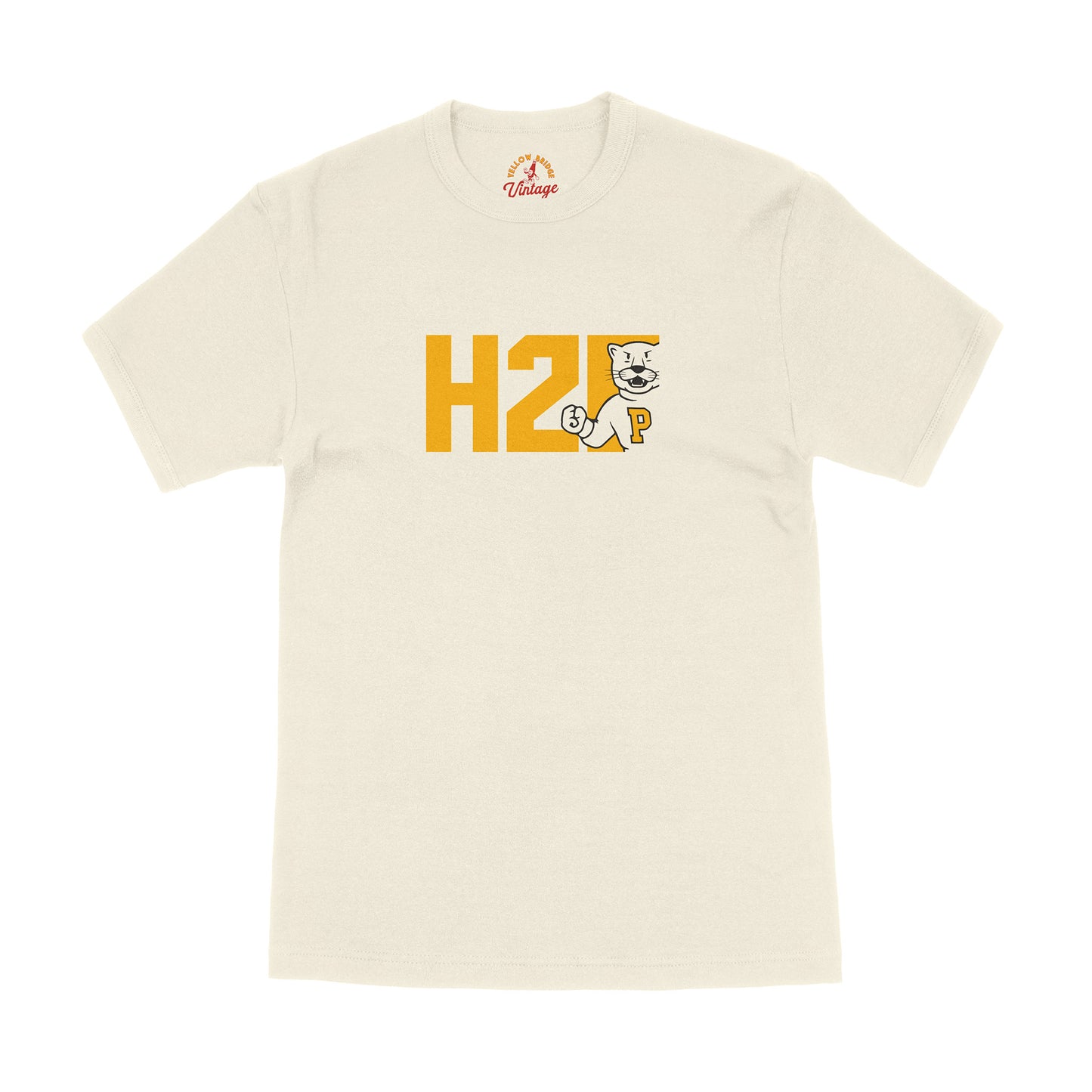 "Hail 2 YBV" Tee - V1